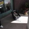DSC00042