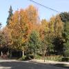 DSC00094