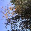 DSC00095