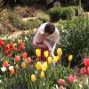 DSC00229