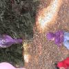 DSC00119