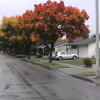 DSC00145