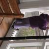 DSC00184
