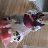 DSC00224