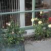 DSC00260