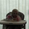 DSC00266