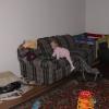 DSC00326