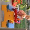 DSC00336