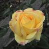 DSC00008