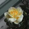 DSC00010