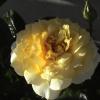 DSC00018