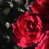 DSC00022