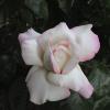 DSC00023