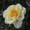 DSC00024