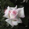 DSC00045