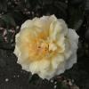 DSC00046