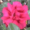 DSC00047