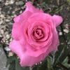 DSC00050