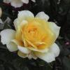 DSC00055