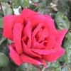 DSC00056