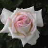 DSC00057