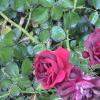 DSC00064