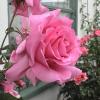 DSC00065
