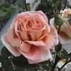 DSC00067