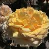 DSC00071