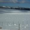 100_0683