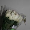 IMG_1388