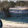 hwy280frosted2