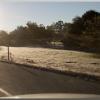 hwy280frosted3