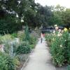 DSC00841