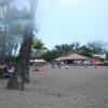 DSC00236