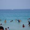 DSC00534