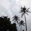 DSC00536