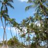 DSC00094