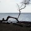 DSC00101