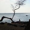 DSC00102