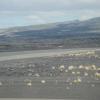 DSC00805
