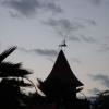 DSC00613