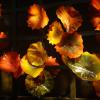 DSC00891