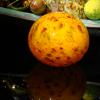 DSC00905