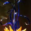 DSC00917
