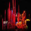 DSC00931