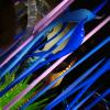 DSC00946