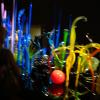 DSC00948