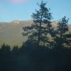 DSC00980
