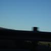 DSC00981